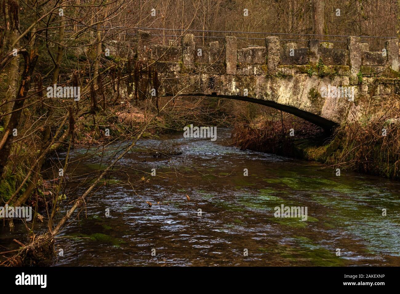 Alte Steinbrücke über die Kirnitzsch Sächsische Schweiz Foto de stock