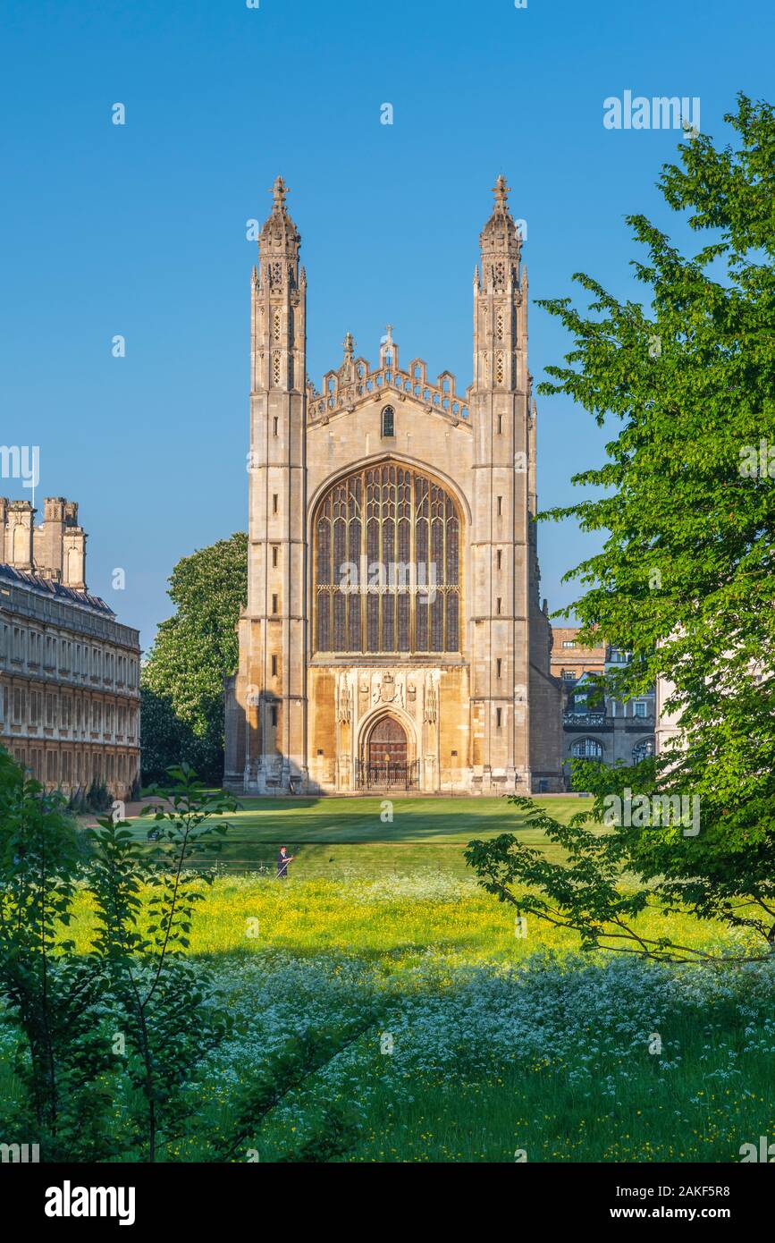 Reino Unido, Inglaterra, Cambridgeshire, Cambridge, la espalda, el King's College, la Capilla de King's College Foto de stock