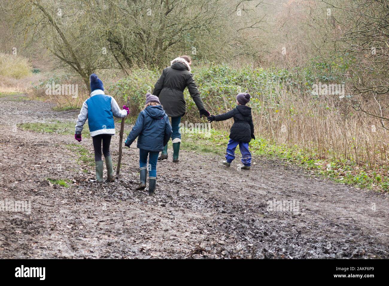 Madre / mamá / mamá caminar a través del barro con sus tres hijos en un día de invierno en un camino fangoso a través de bosques en West End Common, Esher, Surrey. REINO UNIDO. (115) Foto de stock