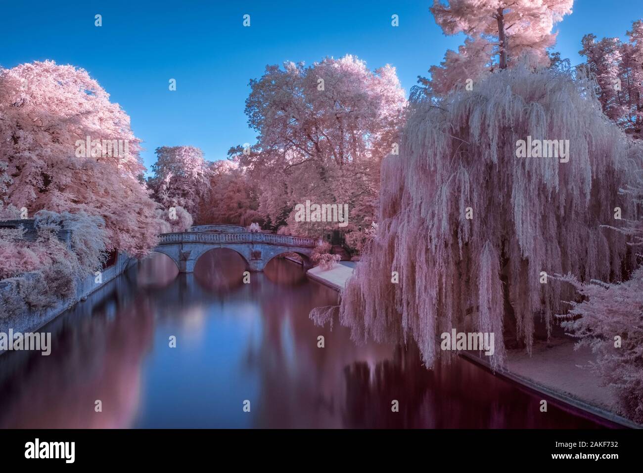 Reino Unido, Inglaterra, Cambridgeshire, Cambridge, los respaldos, Clare y el King's College de puentes sobre el río Cam Foto de stock