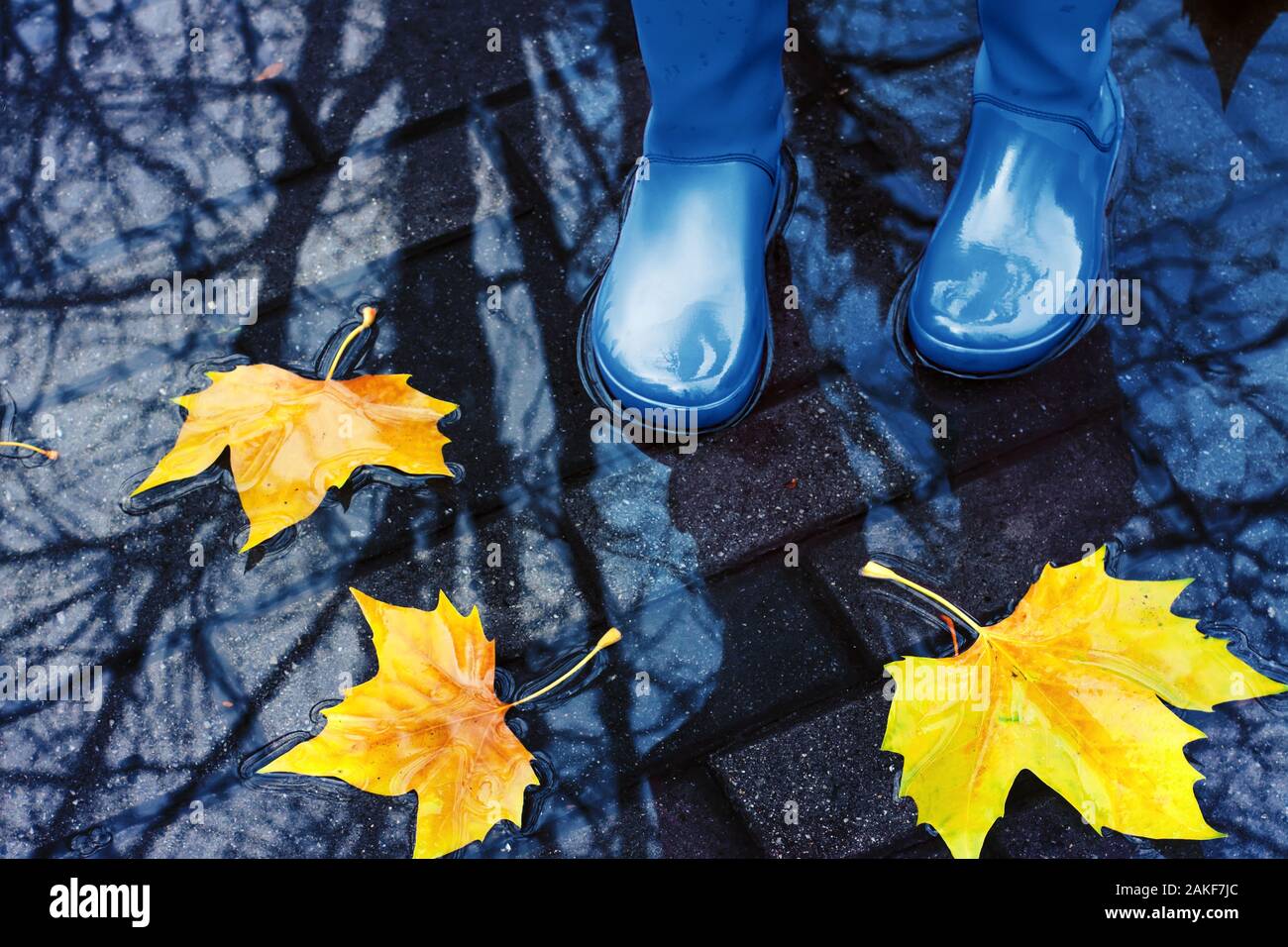 Mujer con botas de agua azul salta en un charco en el lluvioso día de otoño  Fotografía de stock - Alamy