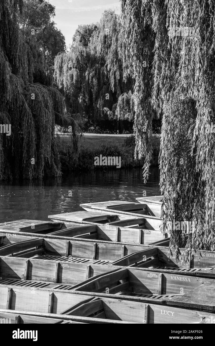 Reino Unido, Inglaterra, Cambridgeshire, Cambridge, Río Cam y Mill Pond, remar Foto de stock