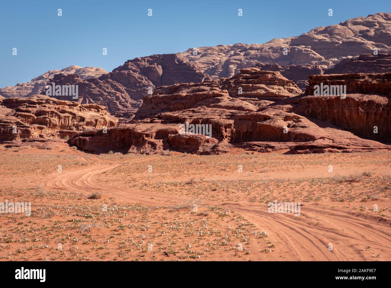 Las rocas del desierto en Wadi Rum, Jordania, Oriente Medio Foto de stock