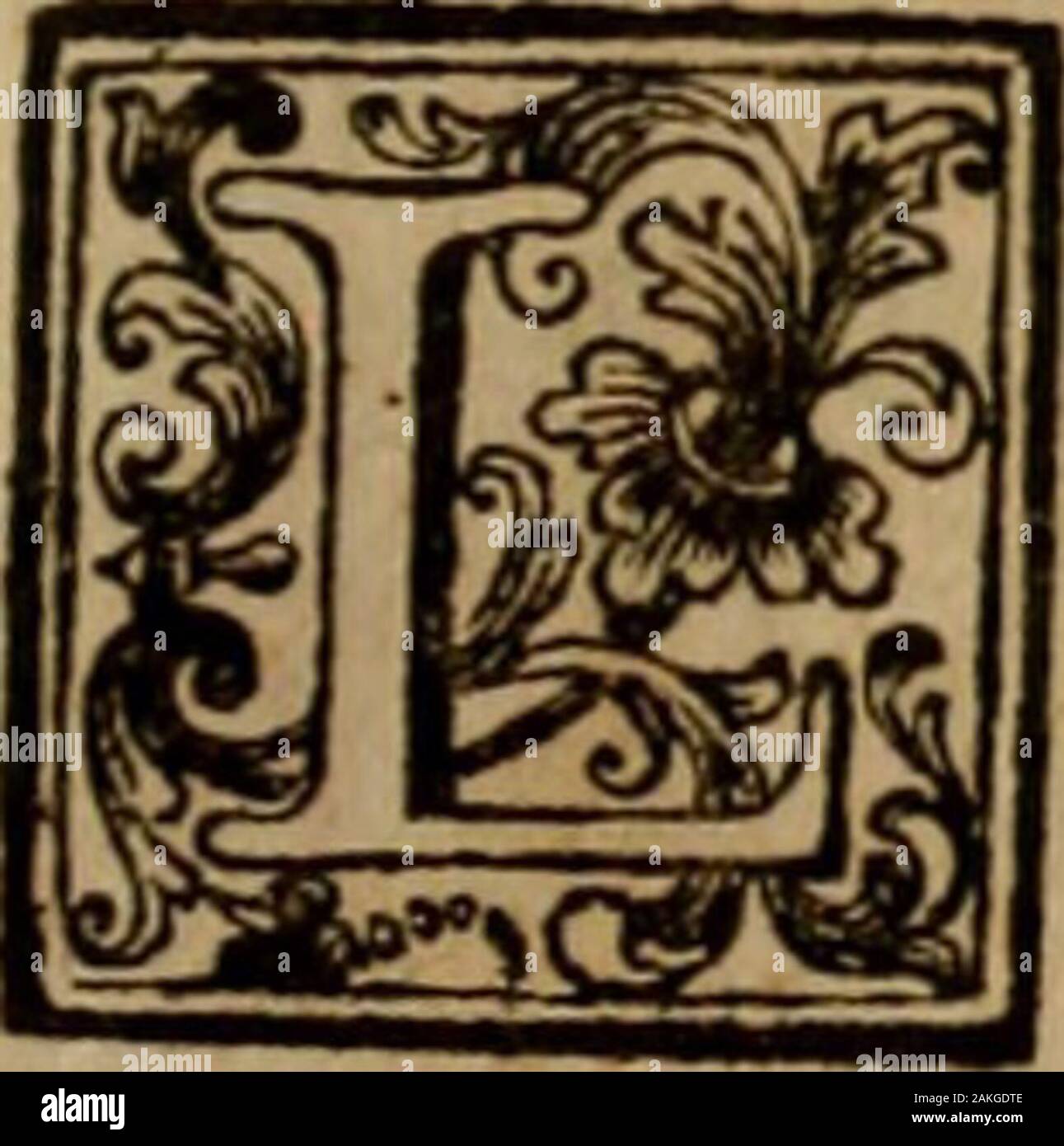Saggio di storia americana, o sia, Storia Naturale, civile, e sacra, de regni, e delle Provincie spagnuole di Terra Ferma nell'America Meridionale . DE COSTUMIDEGLI ORINOCHESI. LIBRO PRIMO rt^otizìe preliminari della terra, Dell* acqua ,e del cielo* Dell* Orinoco CAPITOLO I. Della Terra. ftoria naturale dell Orinoco, la aleta qualeingegnato qui mi fono di adattare aglitcudj eruditi de miei lettori, farebbe ellamanchevole , fé dopo di aver parlato defiumi , e dopo di avere accennati i loroabitanti, e le cofe en quella regione più rara nel ve-getabile sì , sì nel!animale ; farebbe, dico, Manche Foto de stock