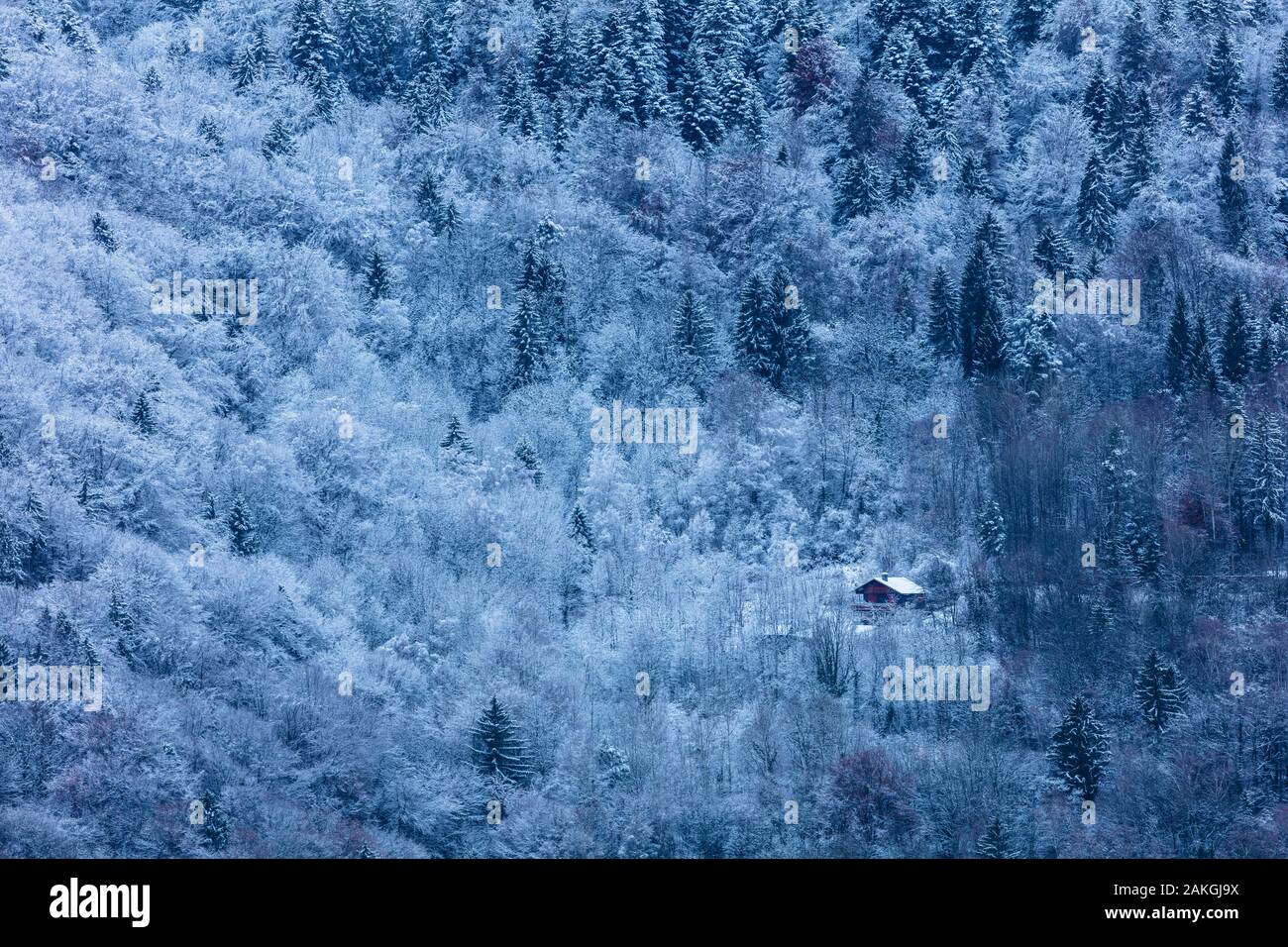 Francia, Savoie, Saint Oyen, macizo de la Vanoise, valle de Tarentaise, chalet aislado en el bosque Foto de stock
