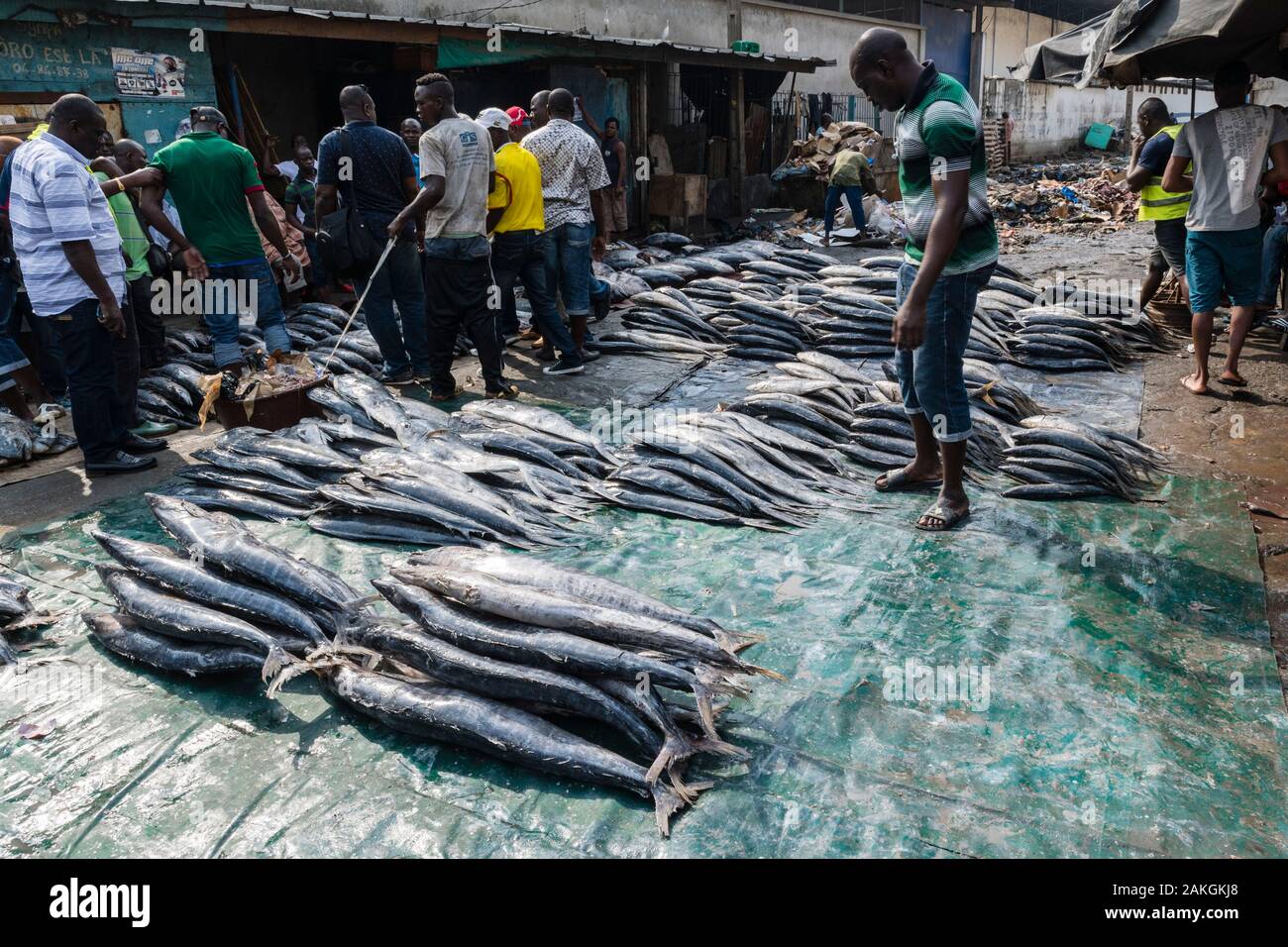 Costa de Marfil, Abidjan, mercado de pescado Foto de stock