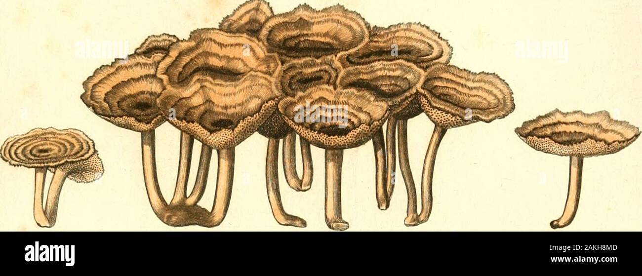 Ce Pe Fotos E Imagenes De Stock Pagina 8 Alamy
