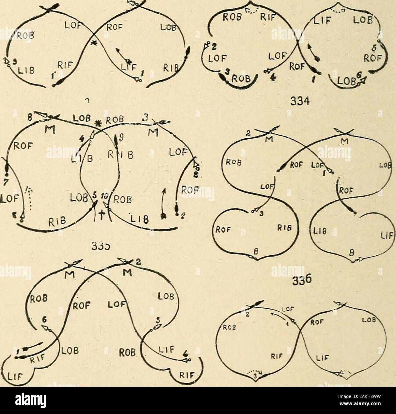 Un manual de patinaje dispuestas para el uso sobre el hielo; con más de  seiscientas diagramas e ilustraciones . 331 332 sacos de harina (Boston)  331, Club de patinaje con Mohawks; 332,