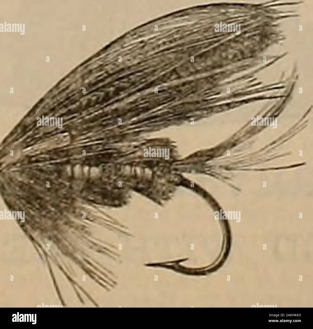 bolsagage weight limit