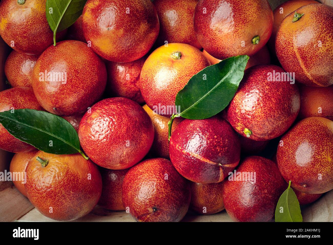 Las naranjas de sangre y las hojas del árbol de naranja. Foto de stock