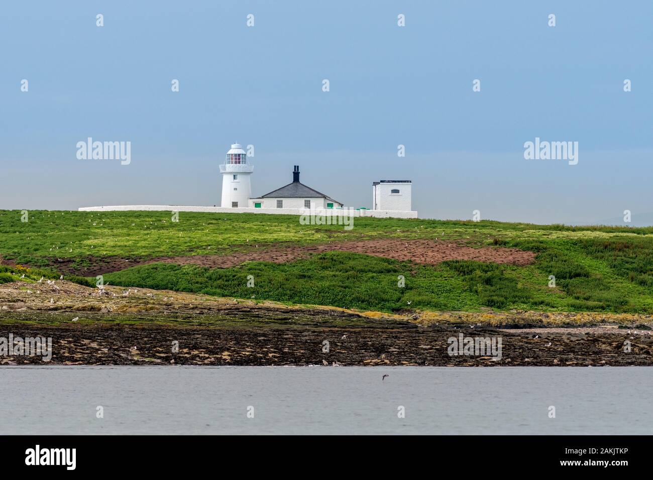 Faro en la Isla Farne Interior frente a la costa de Northumberland en el noreste de Inglaterra Foto de stock
