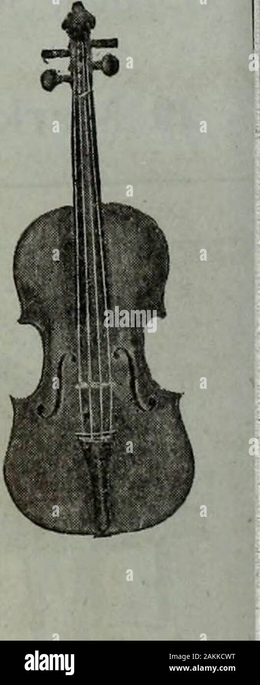 Cuerdas – Viola – Cemu N°1 – Centro de Educación Musical N°2540