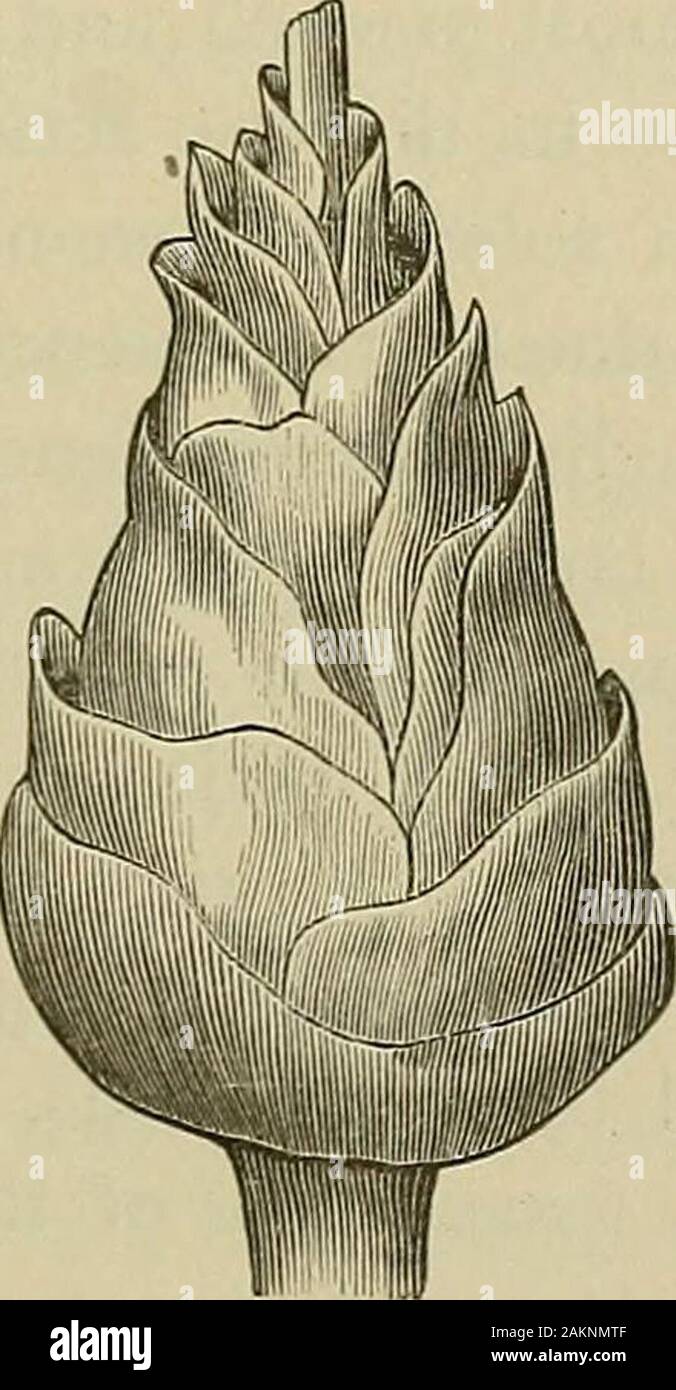 Acetato De Sodio Solubilidad En Agua Acetato de sodio fotografías e imágenes de alta resolución - Página 2 -  Alamy