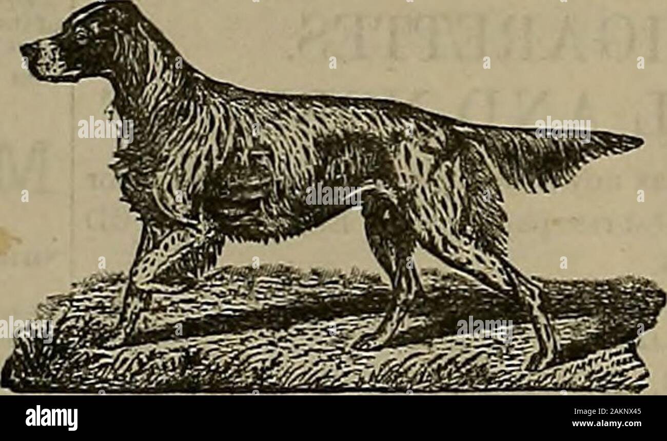 bolsagage weight limit