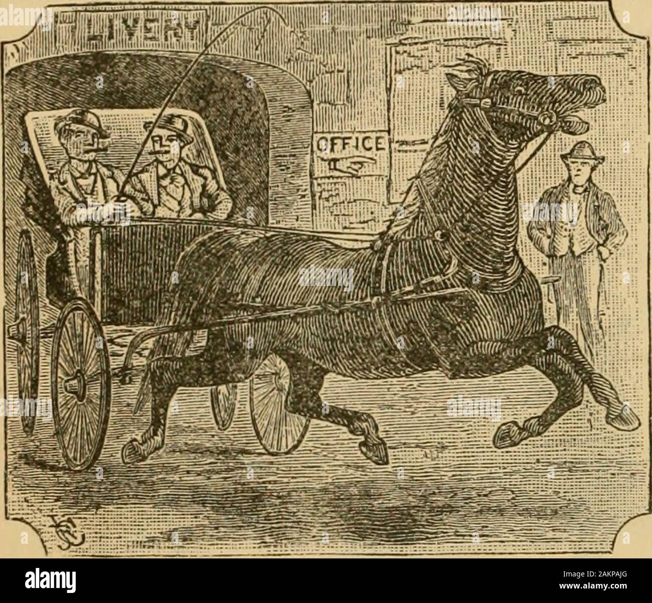 Caballos Atados Fotos e Imágenes de stock - Página 10 - Alamy
