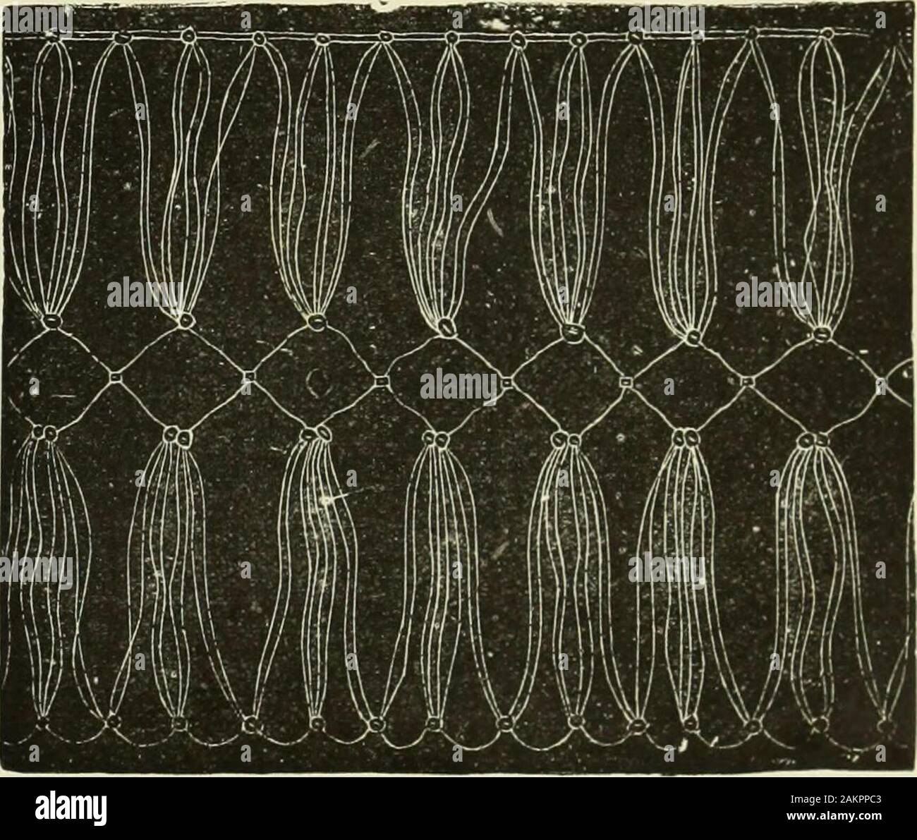 El diccionario de costura : una enciclopedia de artístico, simple y  elegante costurero tratar plenamente con los detalles de todos los puntos  de sutura empleada, el método de trabajo, los materiales utilizados,