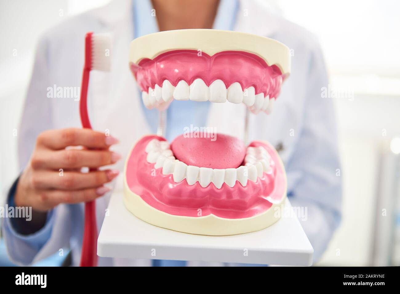 Foto de dentaduras y dentista con cepillo en el fondo Foto de stock