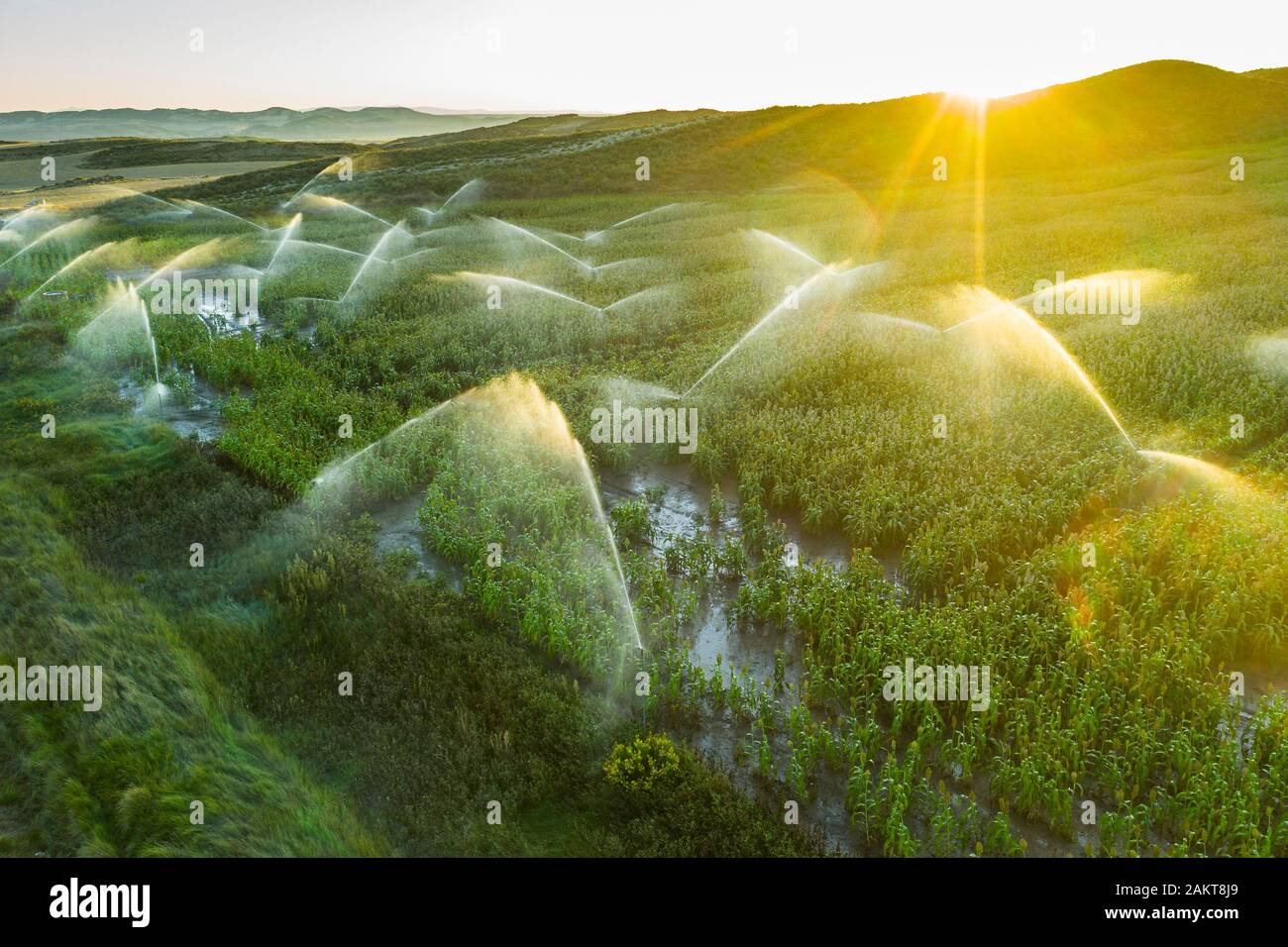 Tierras de cultivo con riego. Vista aérea. Foto de stock