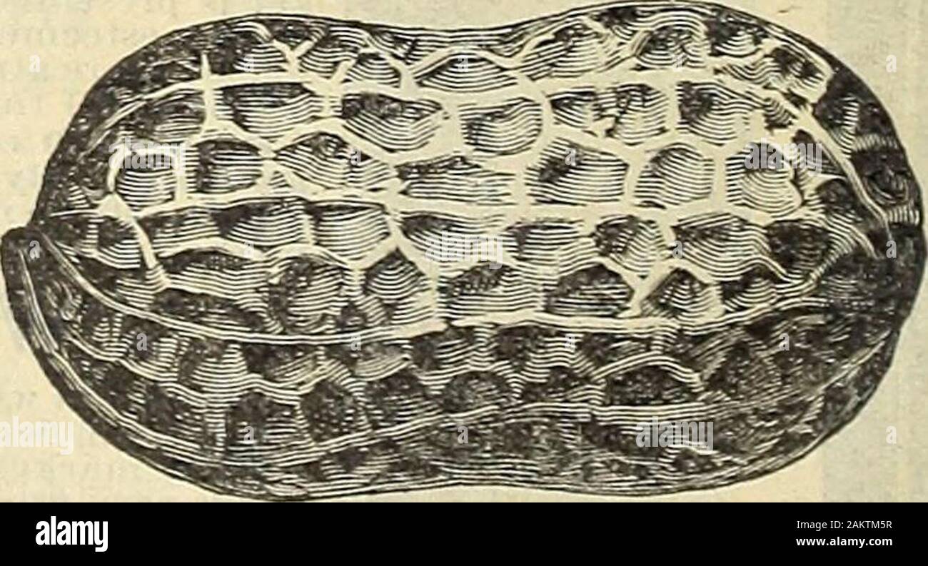 Pospago 30 centavos fotografías e imágenes de alta resolución - Alamy Pospago 30 centavos fotografías e imágenes de alta resolución - Alamy