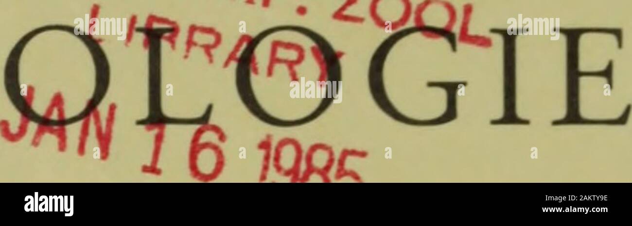 106 G Fotos E Imagenes De Stock Pagina 10 Alamy