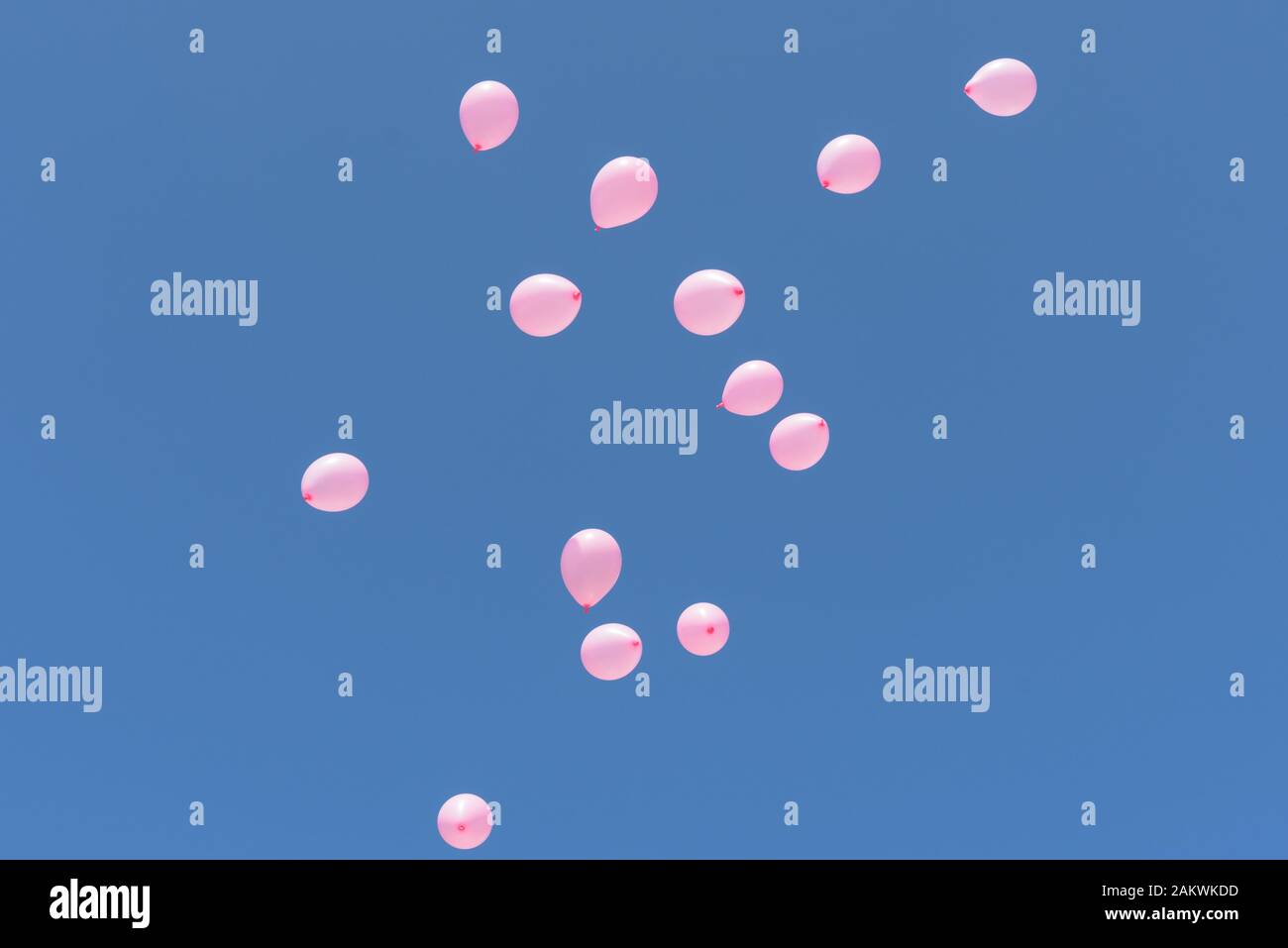 Grupo de globos rosas flotando en un cielo azul claro Foto de stock