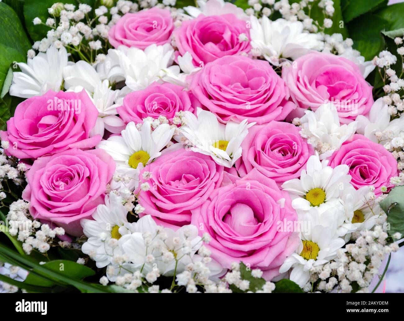 Flores frescas fotografías e imágenes de alta resolución - Alamy