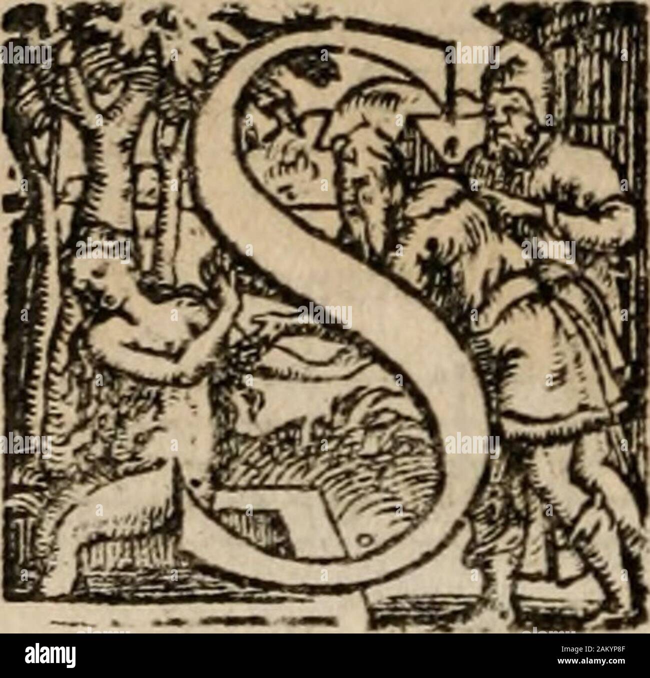 Les Cent Cinquante Psaumes De David Vs Louez Dieu Mon Ame En Toute Chofe Et Tout Cela Qui Dedans Louezfon Moyrepofe Nom Tres Debil Aloja E Iiieie Ie5exe Eiei5ii Ejfeieeis Pespegjesa Epe Pli Prefente A Dieu Louanges Feruices Oh