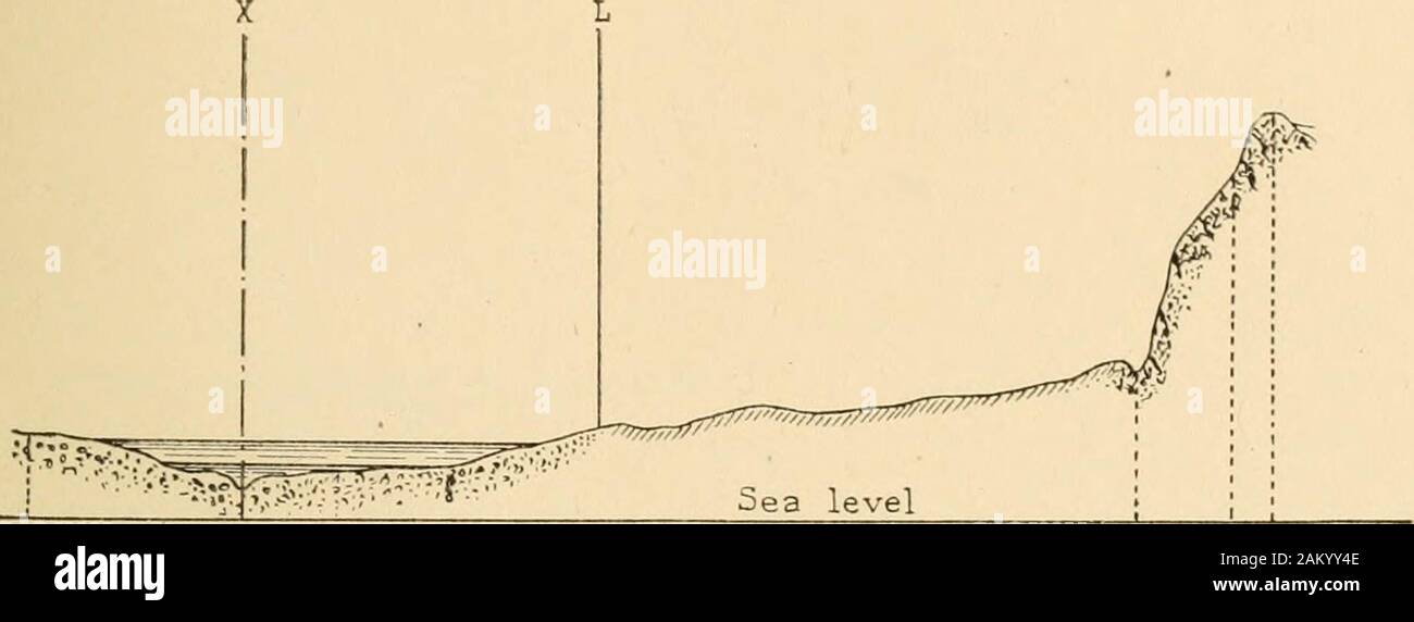 Rovo Fotos E Imagenes De Stock Alamy