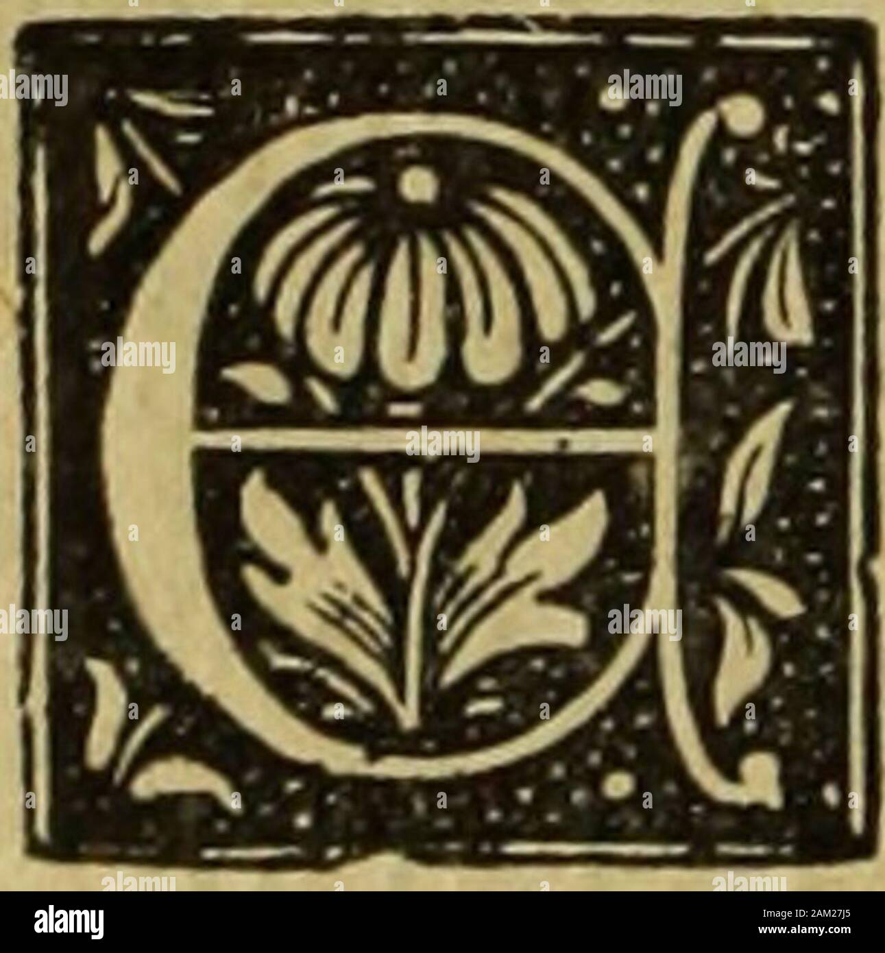 Revista contemporánea . mero de bibliotecas en España.-Resumen general de bibliotecas y volúmenes.-orígenes de las bibliotecaspopulares en España.-Estado á que deben llegar. I. N nuestro capítulo anterior hemos expuesto la si-tuación de las bibliotecas de Madrid y de lasllamadas públicas de España, indicando la nece-sidad de variar su organización, si han de pres-tar el servicio que todos los amantes de las letras reclama-mos de estos centros de enseñanza oficial. Ni el númerode volúmenes, ni el personal que tienen asignado el párrafo suservicio, ni la distribución que se hace del tiempo dado álos le Foto de stock