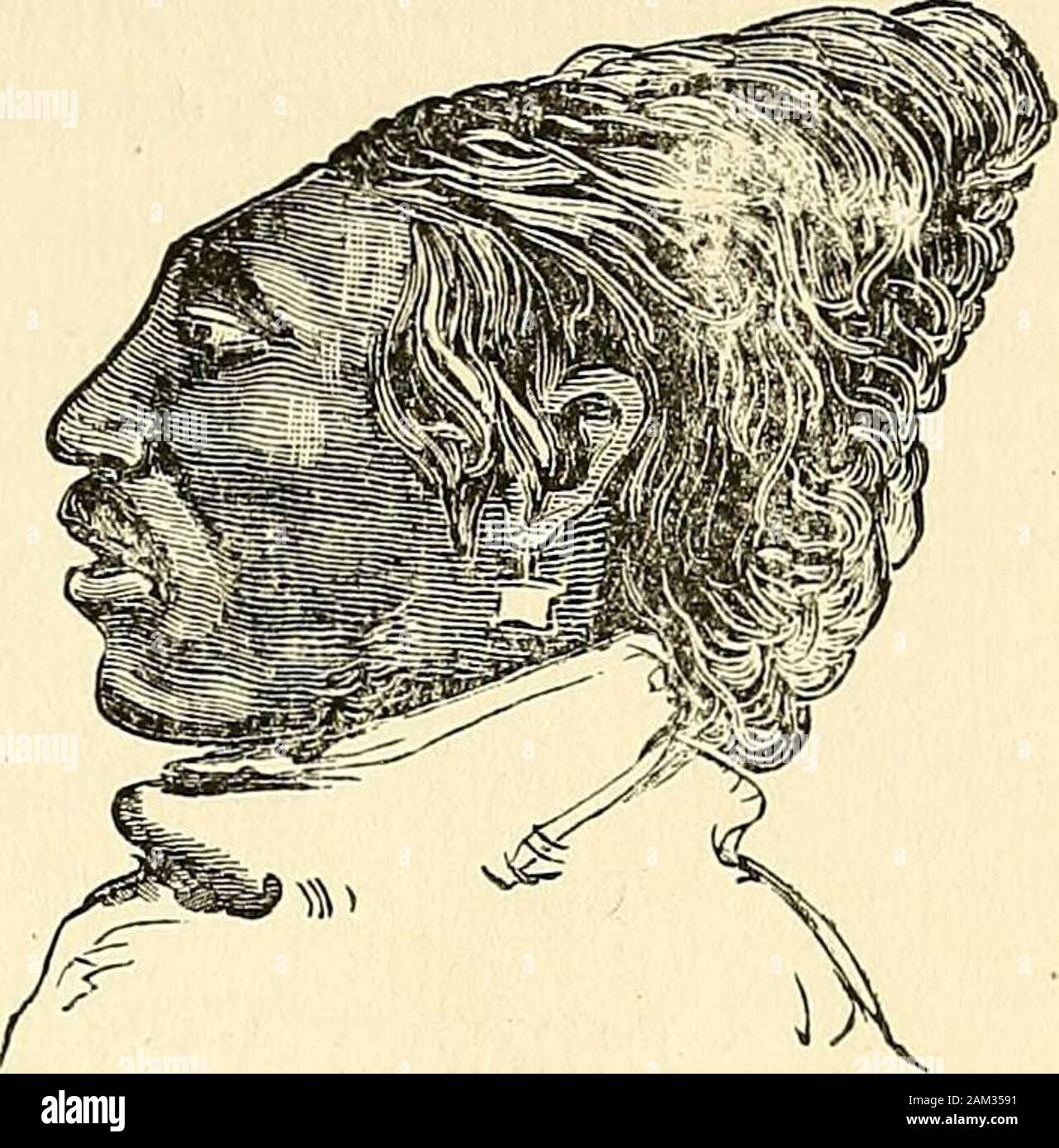 Las revelaciones de la naturaleza de carácter o, physiognomy illustratedA descripción mental, moral y volitive disposiciones de la humanidad, tal como se manifiesta en la forma humana y la mirada . Gran Proportionativeness -Petrarca Zortan, 1S5 años dedicados la edad. - Un pequeño Proportionativeness Flat-Head liiaiaii, de IHE-east coasc sudth ofVaucduver Island, British Columbia. Esta palabra es suficientemente explícito y coiDprehensive indicar la calidad, o combinación de quUiticri, de "vliich Foto de stock