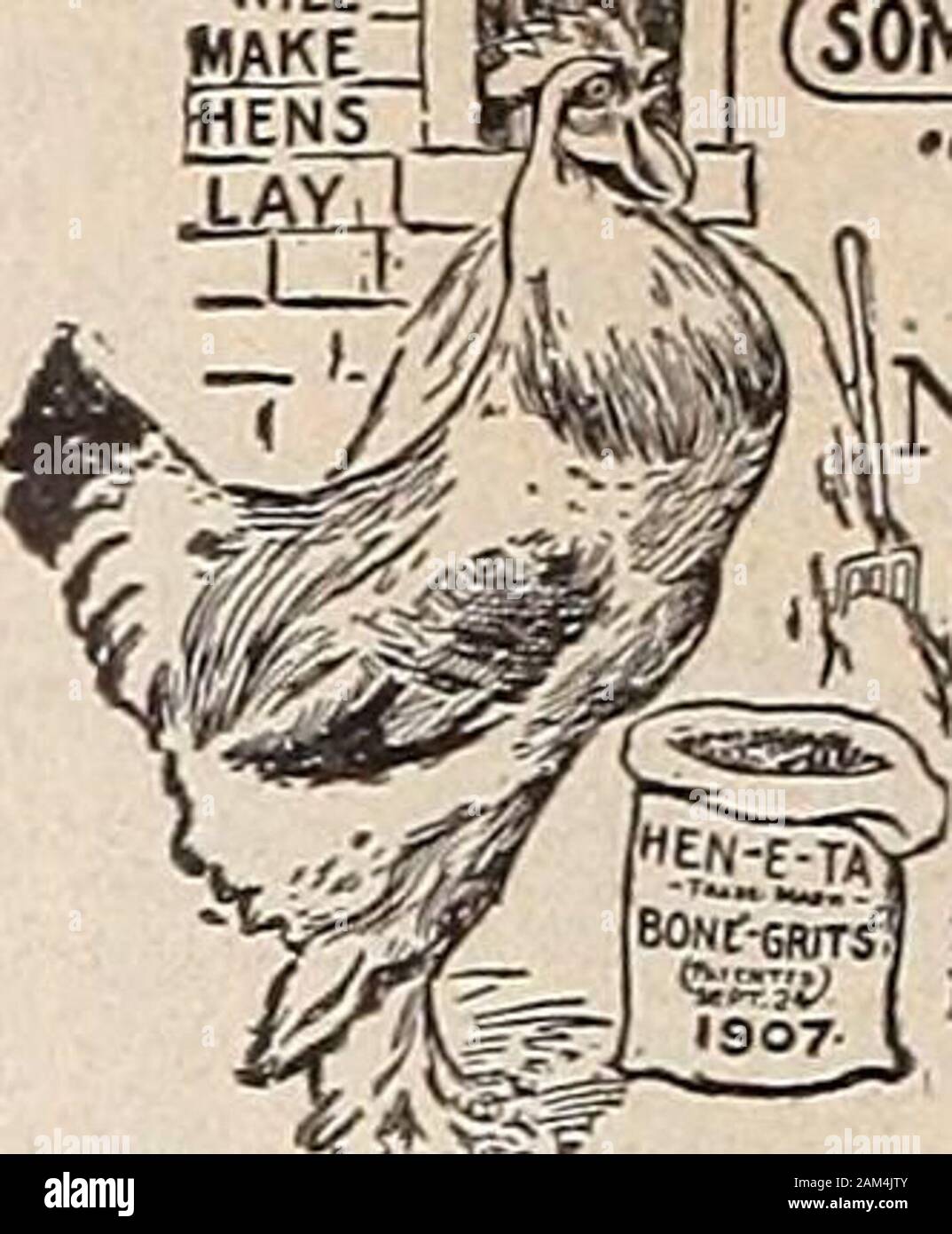 De criadores de aves de corral . A. E. Martz, señaló el criador Orpington,  Arcadia, Indiana, un hilo de latuerca central occidental. Presidente Buff  Orpington Club, identificado de manera destacada con theChicago