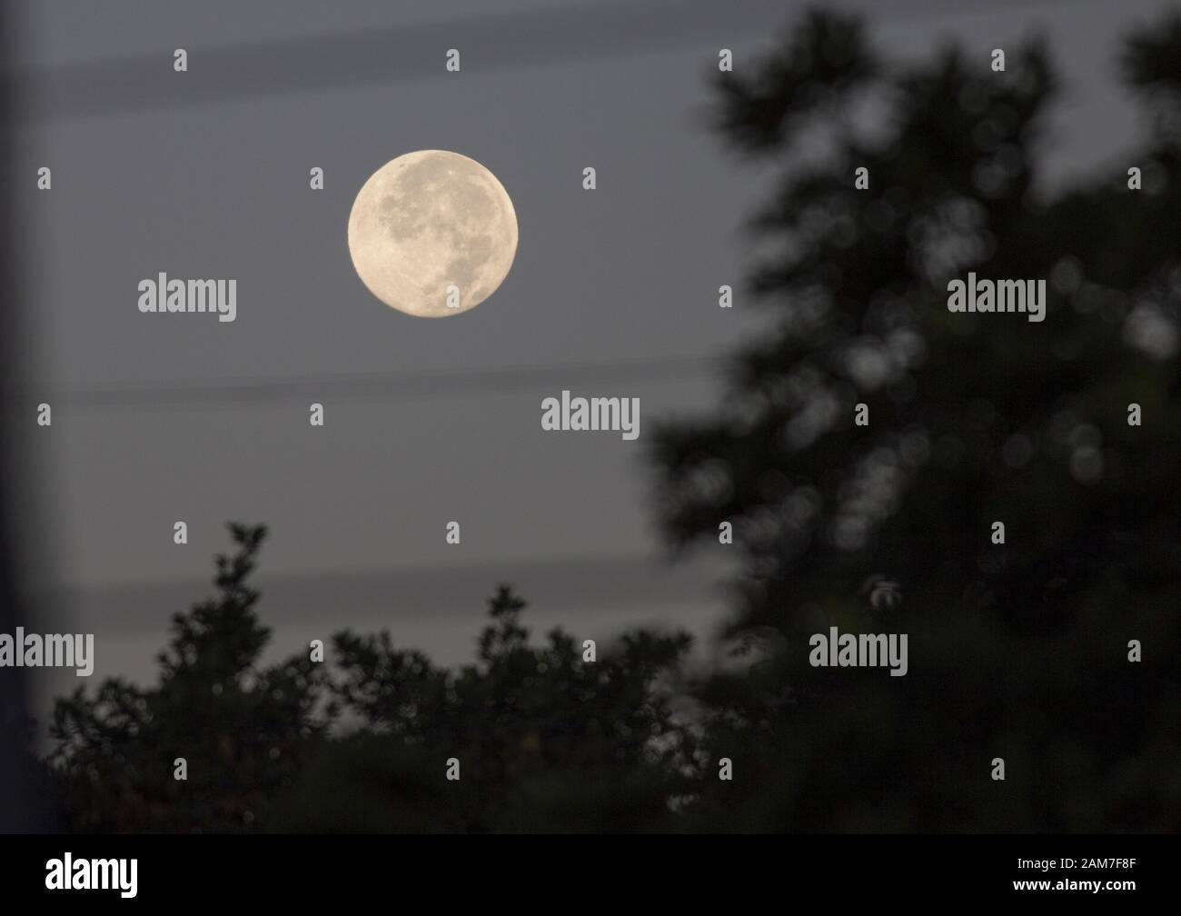 Octubre 10, 2019: La luna llena en la madrugada del 11 de enero en Bogotá Crédito: Daniel Garzón Herazo/Zuma alambre/Alamy Live News Foto de stock