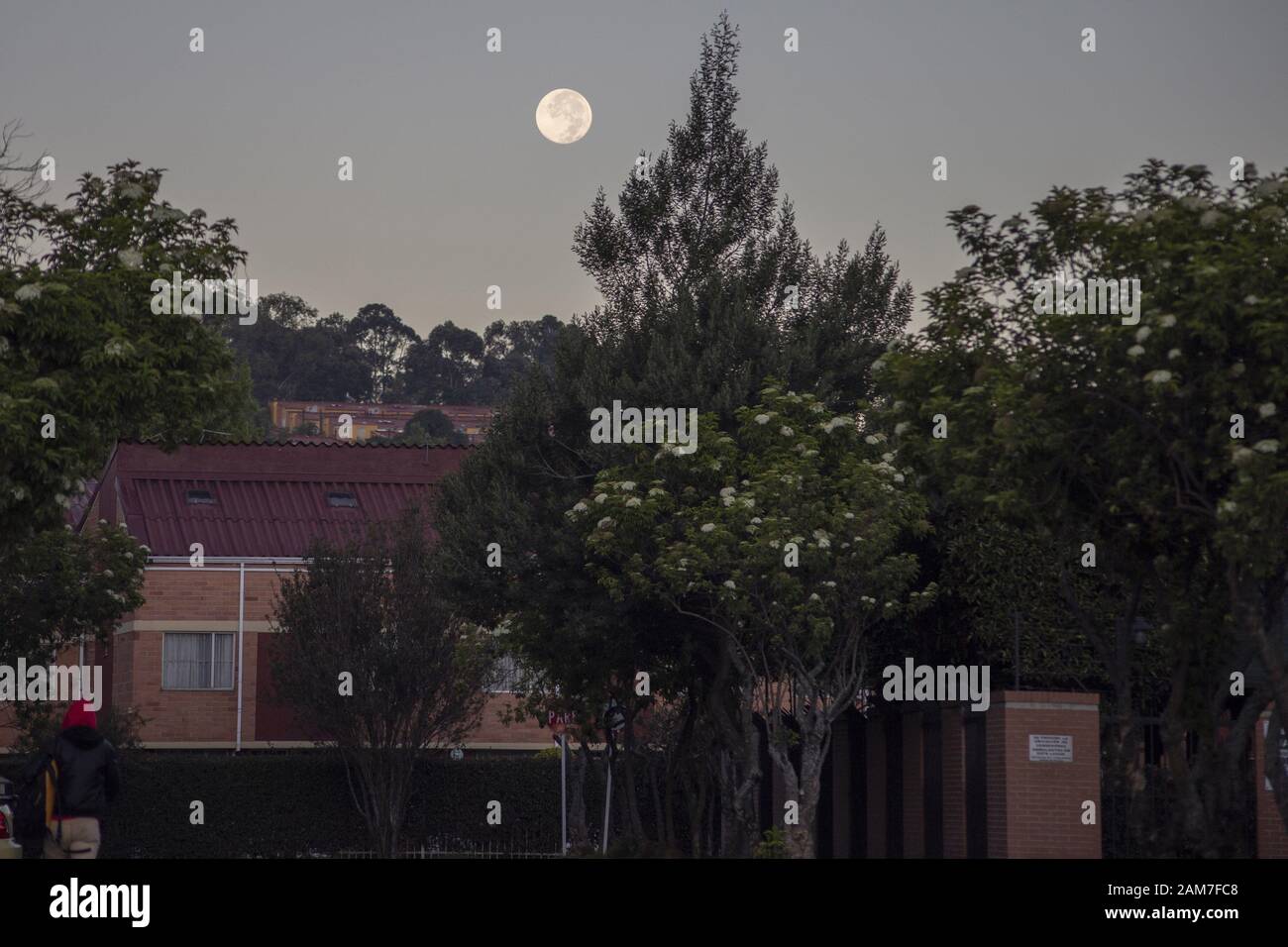 Octubre 10, 2019: La luna llena en la madrugada del 11 de enero en Bogotá Crédito: Daniel Garzón Herazo/Zuma alambre/Alamy Live News Foto de stock