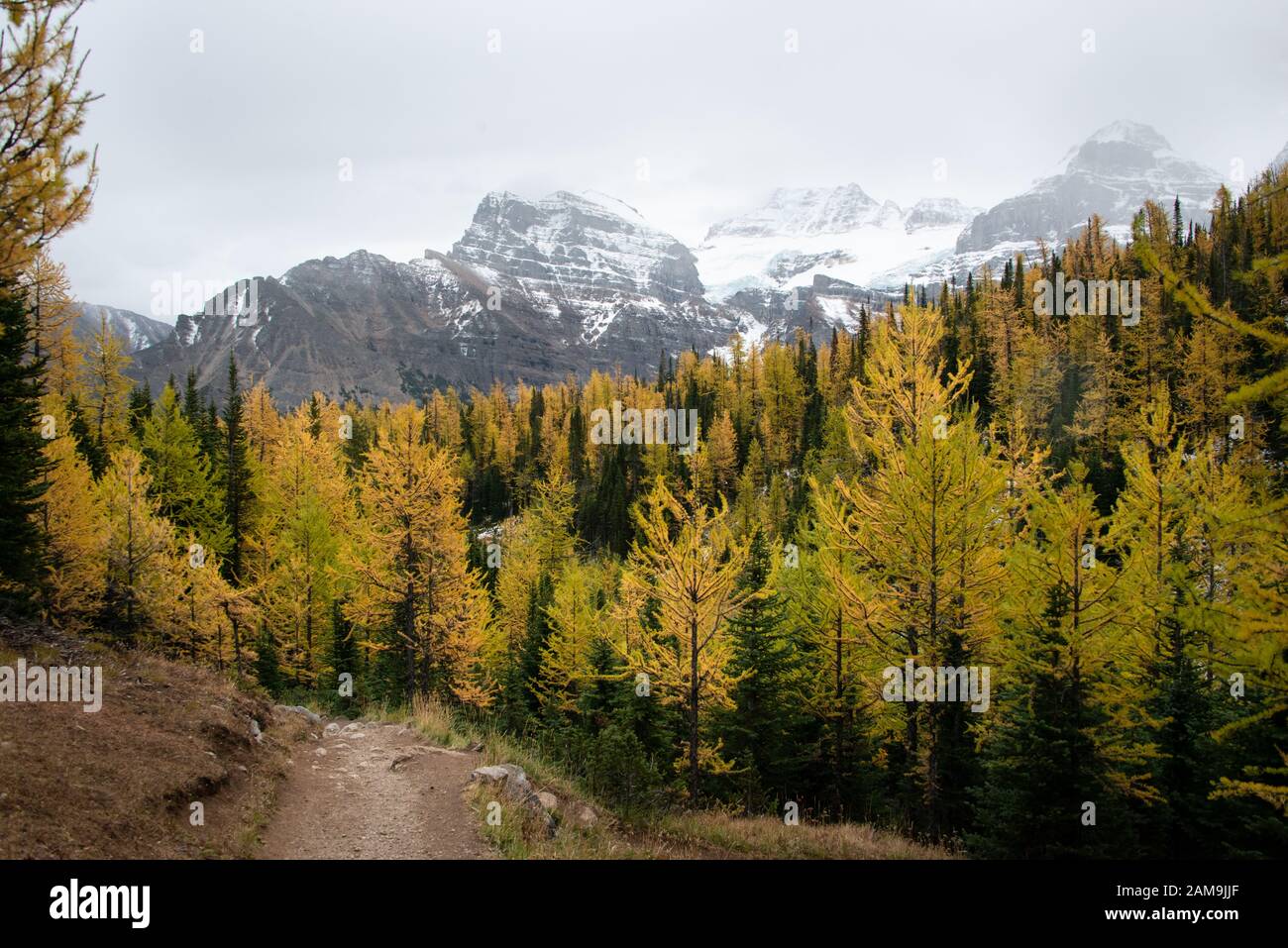 Valle de los diez Picos en el Parque Nacional Banff, Canadian Rockies Foto de stock