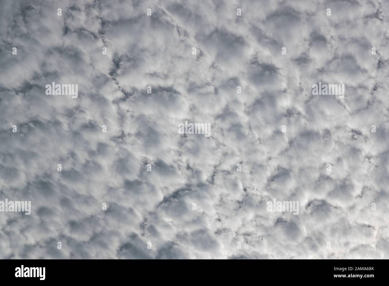 Altocúmulos nubes Foto de stock