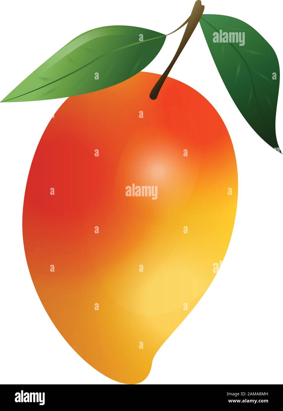 Icono de mango de fruta. Dibujo animado del icono del vector del fruto del mango para el diseño de la tela aislado en fondo blanco Imagen Vector de stock - Alamy Icono de mango de fruta. Dibujo animado del icono del vector del fruto del mango para el diseño de la tela aislado en fondo blanco Imagen Vector de stock - Alamy