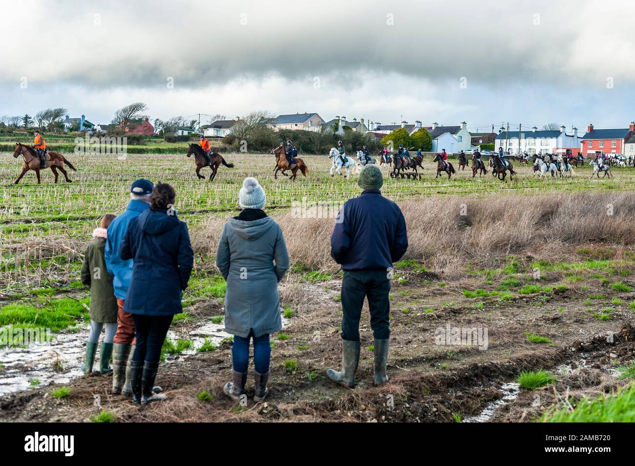 Butlerstown, West Cork, Irlanda. 12 de enero de 2020. El paseo anual Carberry Hunt Butlerstown Fun Ride tuvo lugar hoy en día con cientos de caballos y jinetes participando. Crédito: Andy Gibson/Alamy Live News Foto de stock