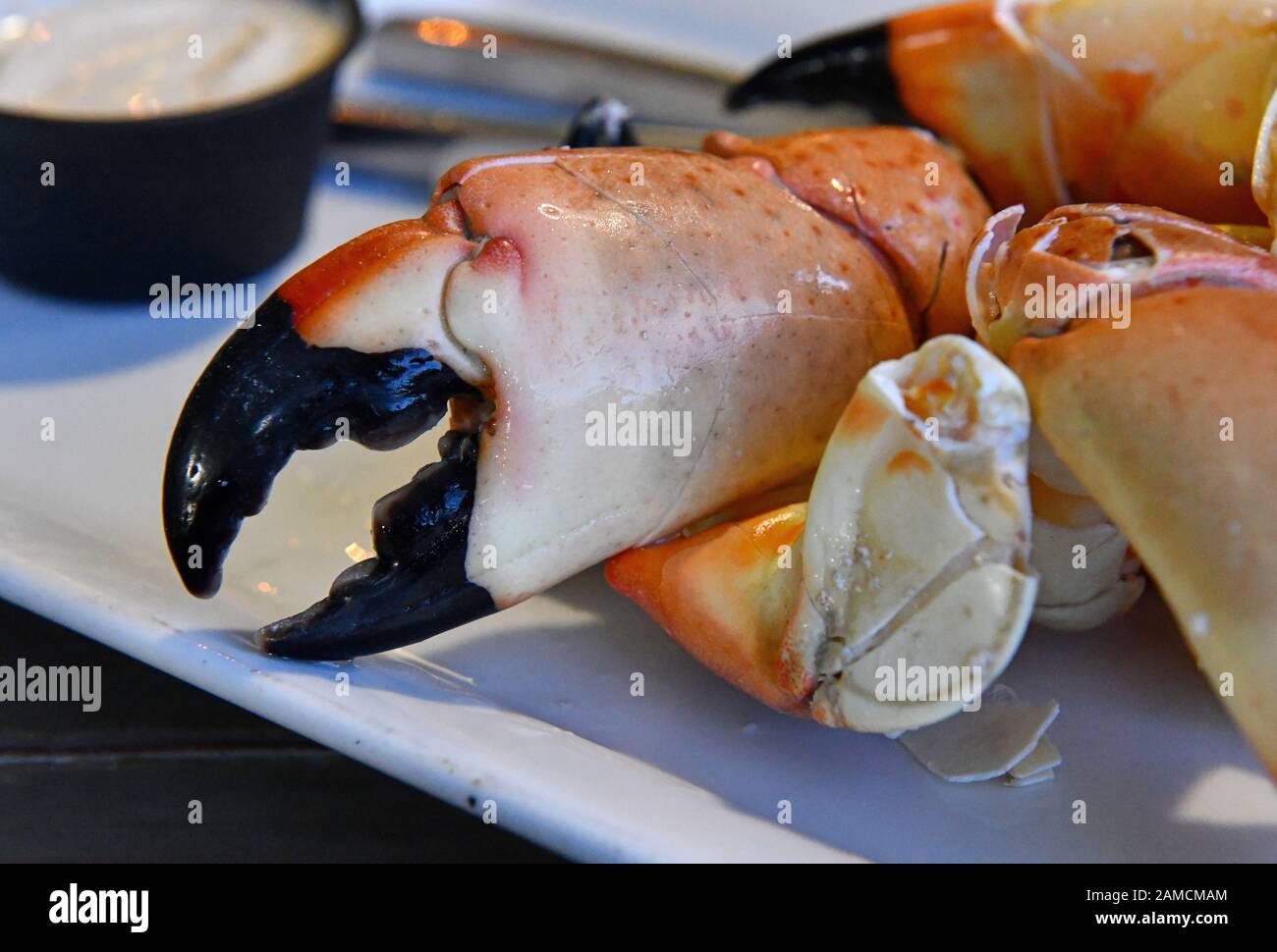 Pinzas de cangrejo de piedra de Florida en el plato Fotografía de stock -  Alamy
