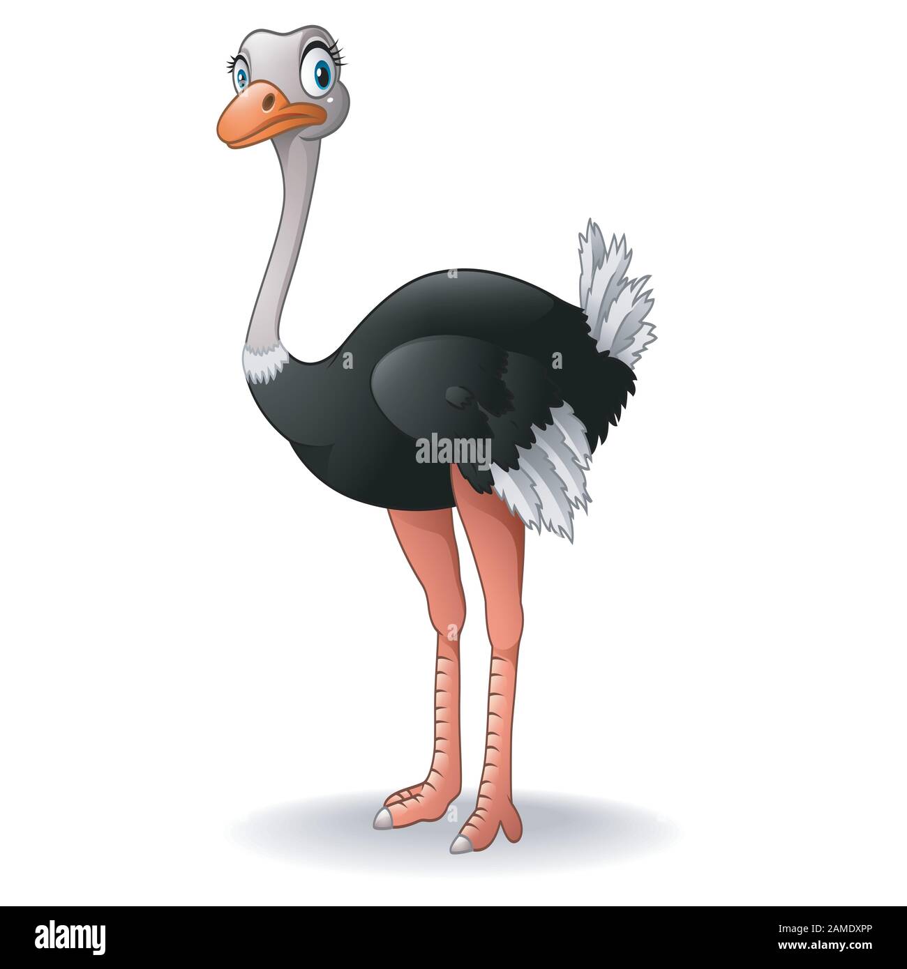 Ostrich cartoon fotografías e imágenes de alta resolución - Alamy