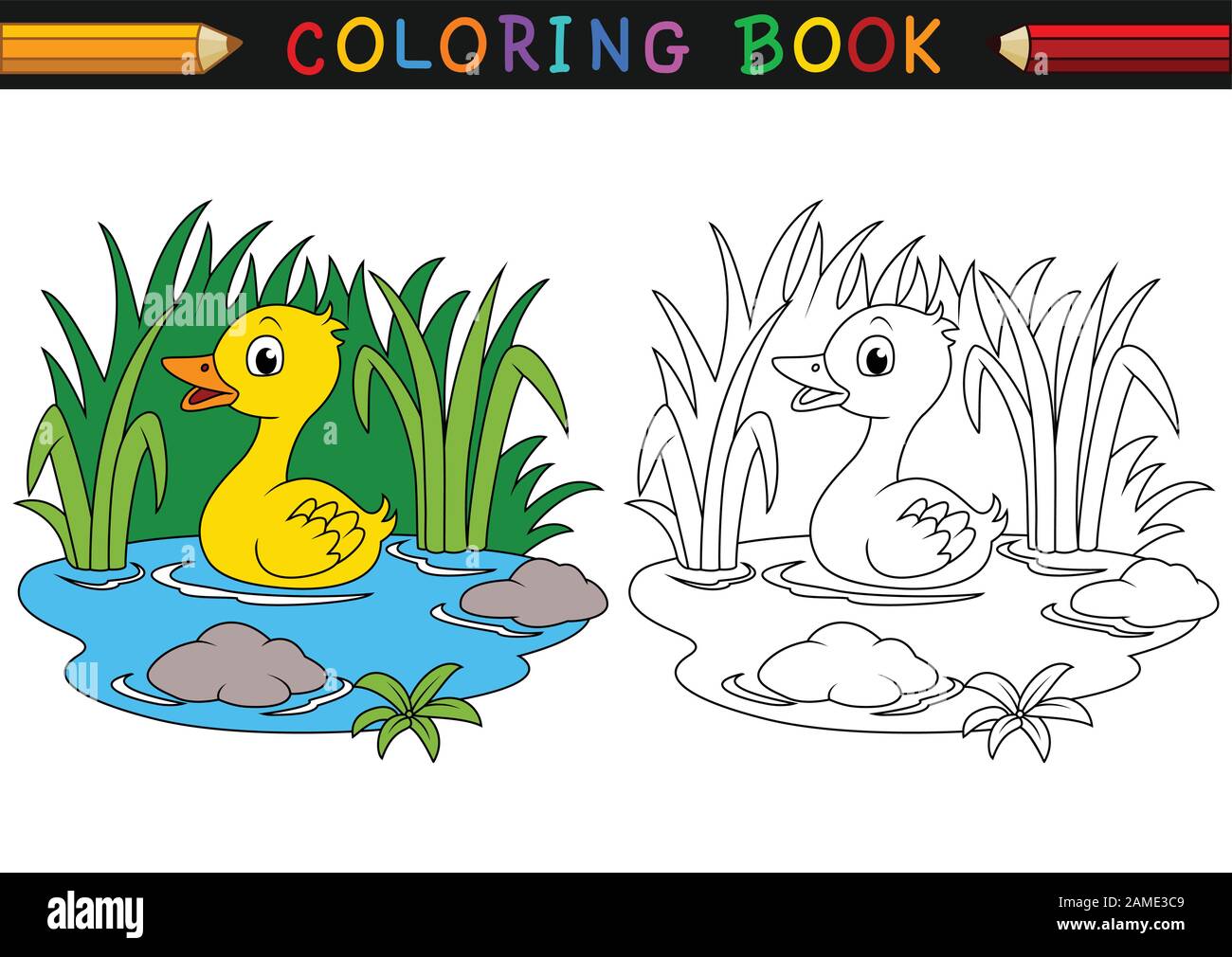 Libro para colorear de pato de dibujos animados Imagen Vector de stock -  Alamy