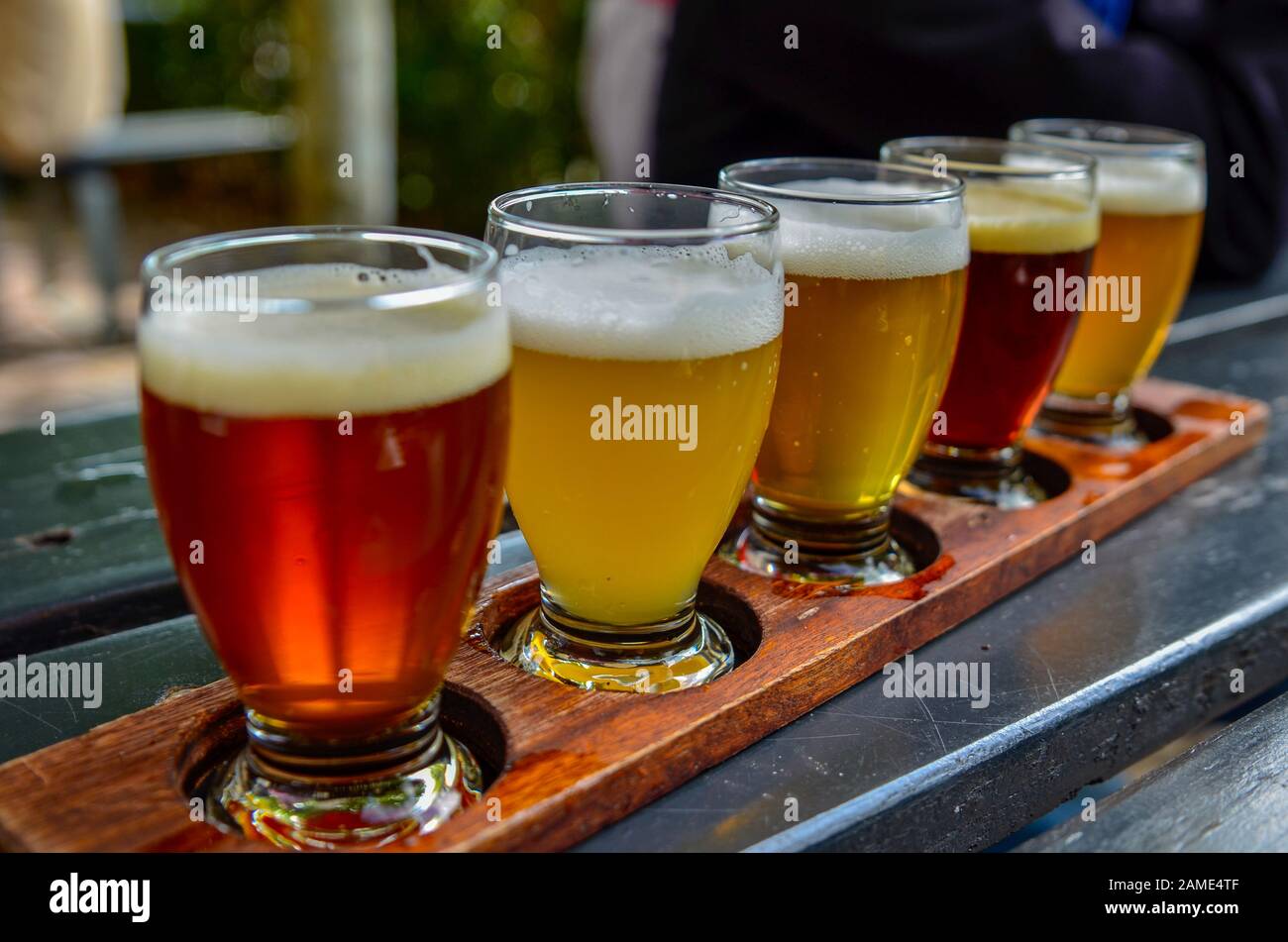Degustación de cerveza artesanal: Cinco vasos con cervezas de diferentes  colores y sabores. Un portavasos de madera sujeta los vasos en fila  Fotografía de stock - Alamy
