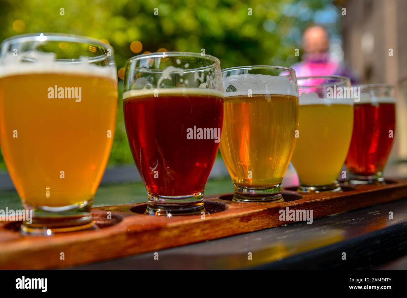 Degustación de cerveza artesanal: Cinco vasos con cervezas de diferentes  colores y sabores. Un portavasos de madera sujeta los vasos en fila  Fotografía de stock - Alamy