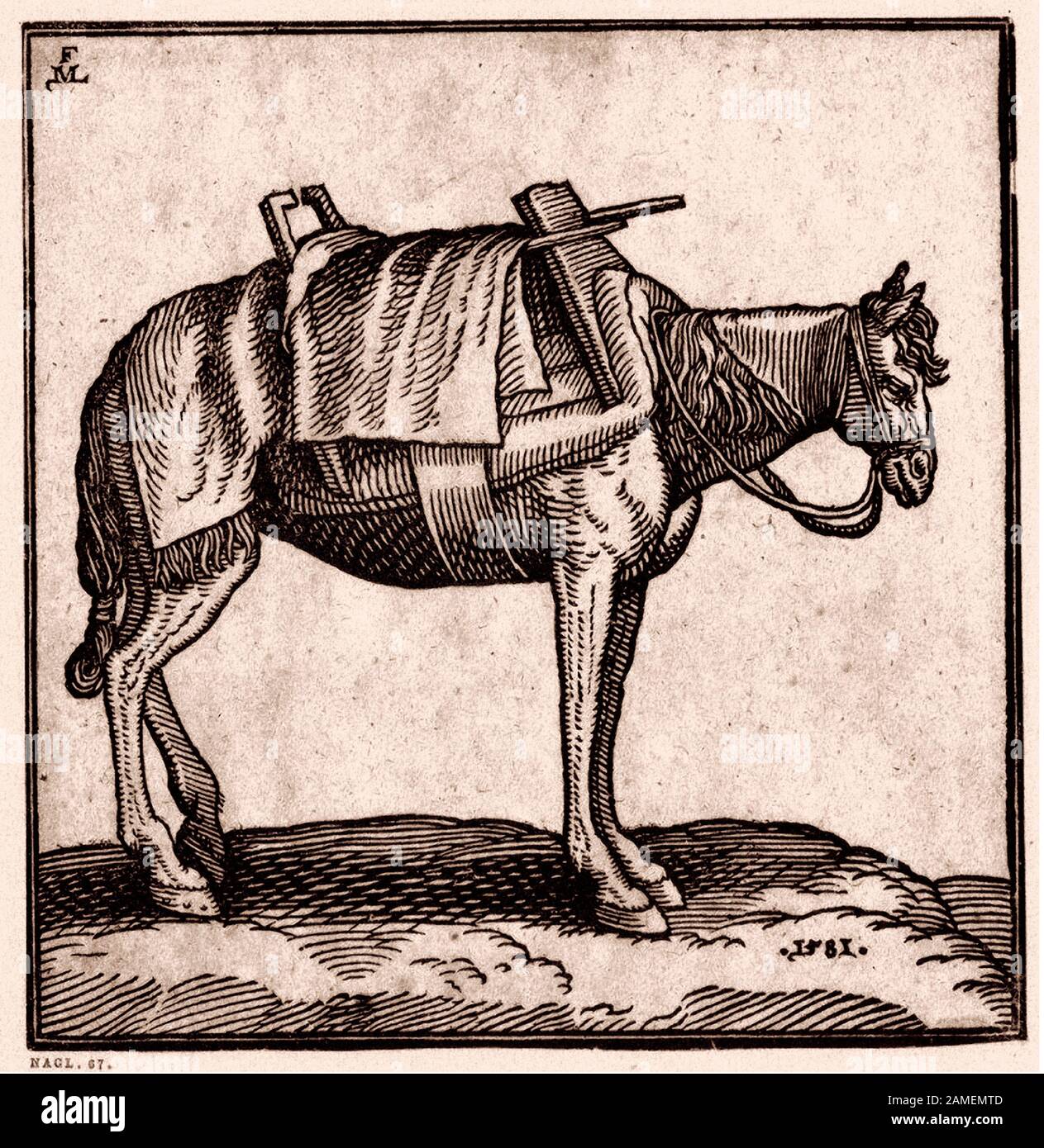 La historia del Imperio Otomano. Un caballo de equipaje Tartar. Por Melchior Lorck. siglo 16 Foto de stock
