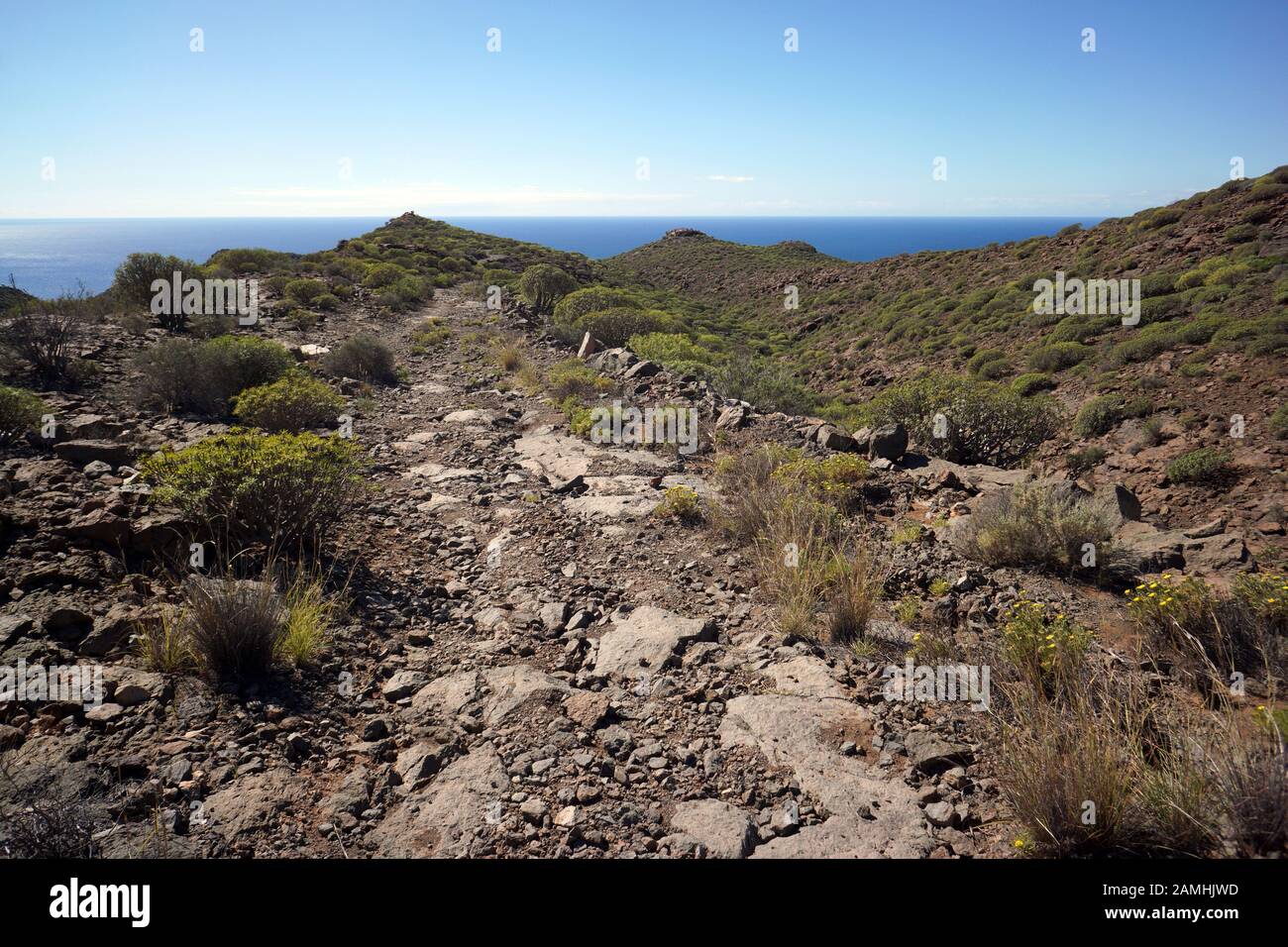 Wanderung über die Lomo de Tabaibales mit typischer Wolfsmisch-Vegetation,  Puerto de Mogan, Gran Canaria, Spanien Fotografía de stock - Alamy