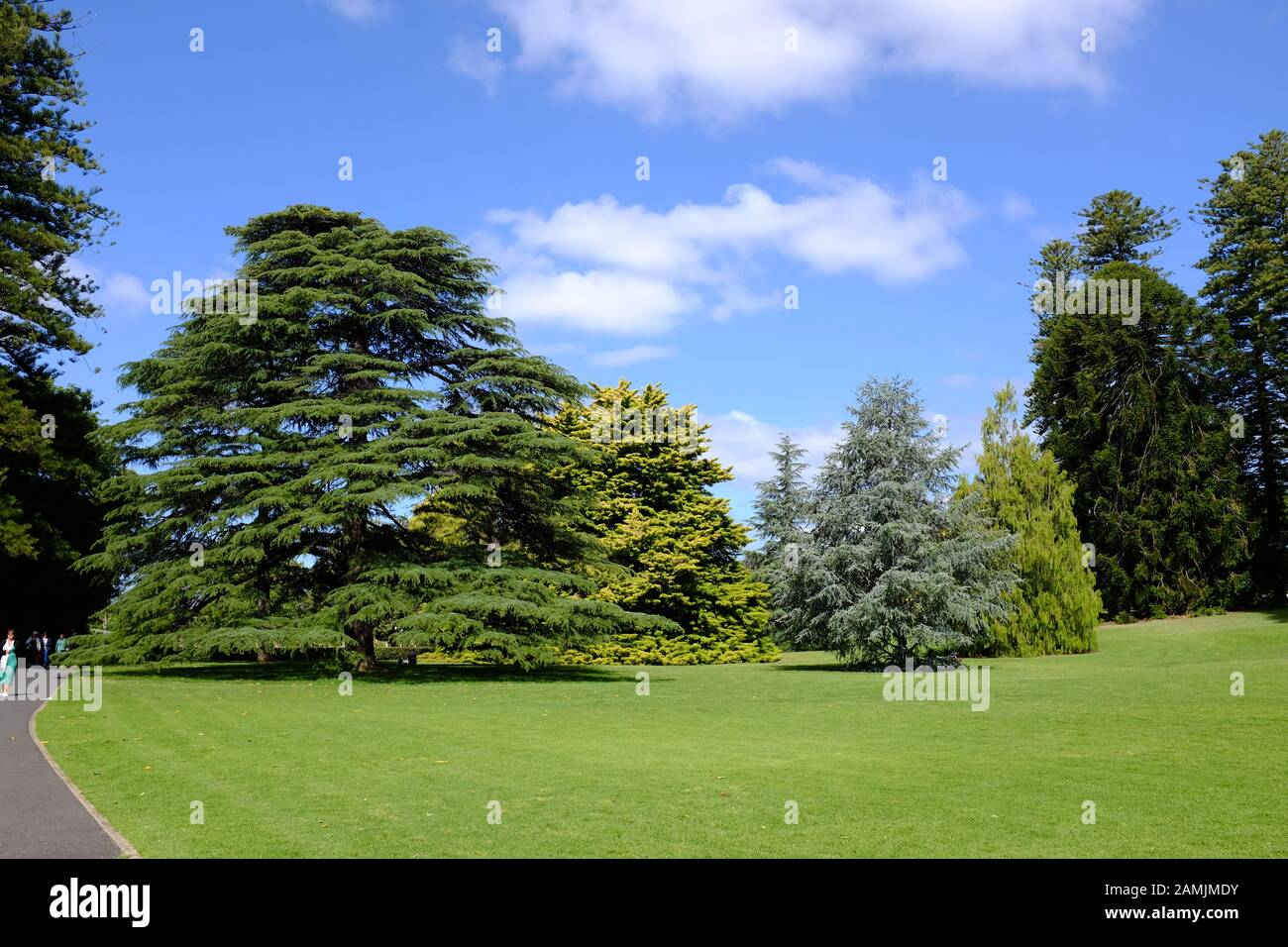 Jardín botánico de Adelaida Foto de stock