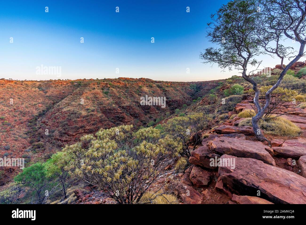 Amanecer En Kings Canyon, Territorio Del Norte, Australia Foto de stock