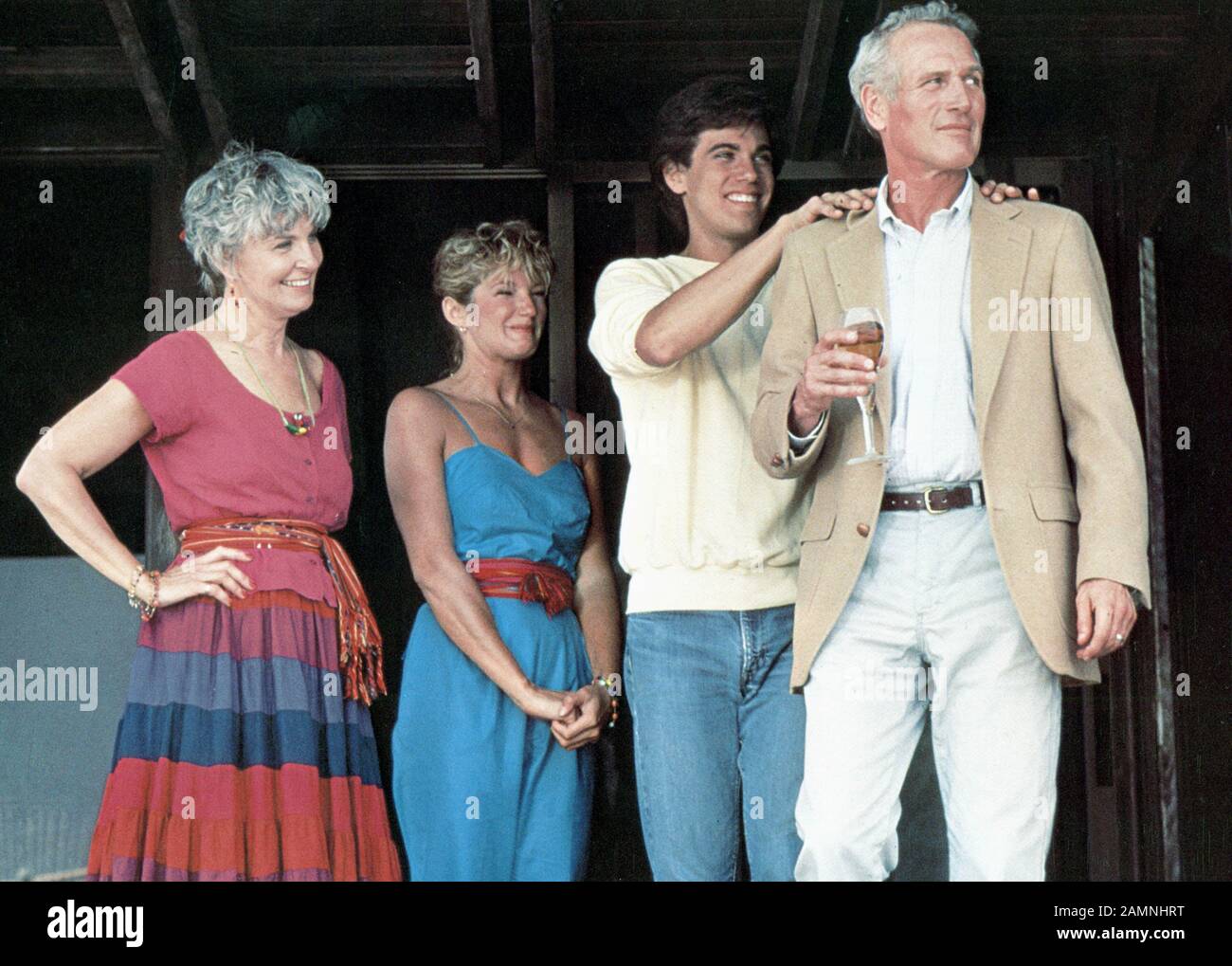 IVEY,BARKIN,BENSON,NEWMAN, HARRY AND SON, 1984 Foto de stock