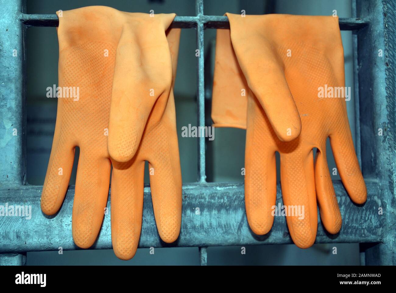 Un par de caucho naranja de lavar o limpiar los guantes de colgar a secar Foto de stock
