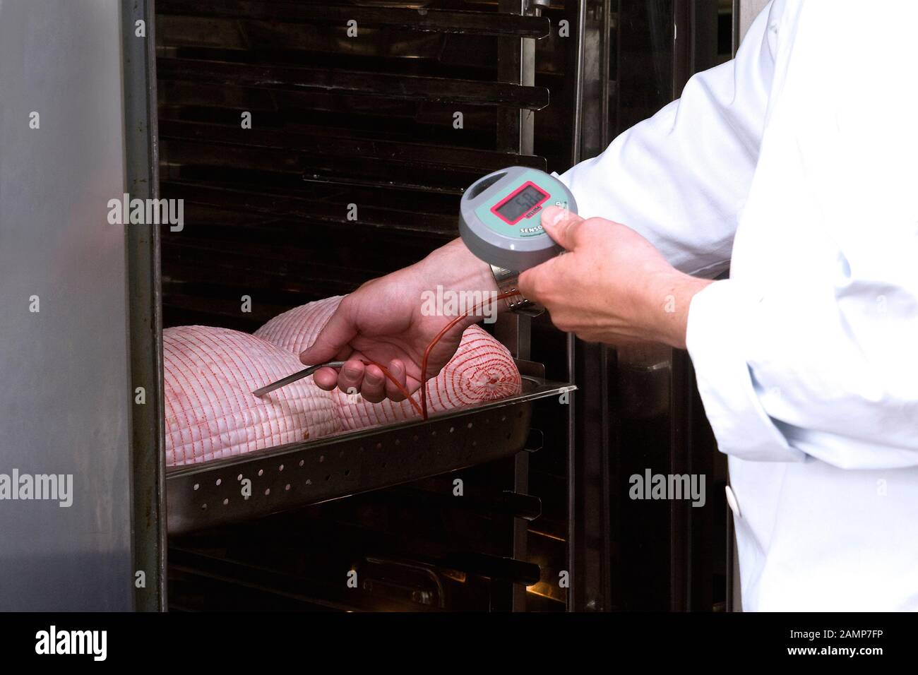 Inspector de seguridad alimentaria mediante un termómetro sonda para medir la temperatura de los alimentos. Foto de stock