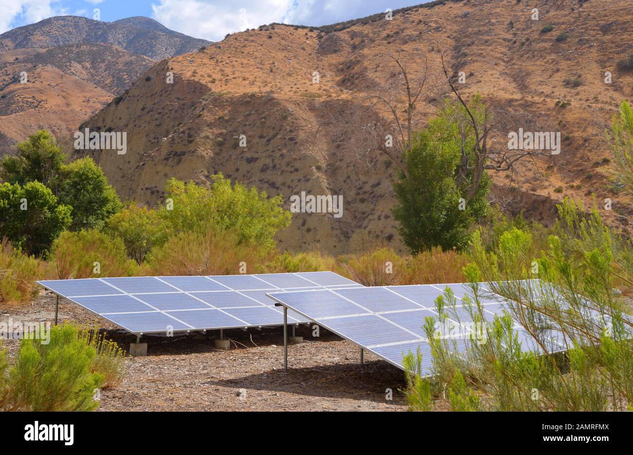 Paneles solares en el oasis del desierto californiano Foto de stock